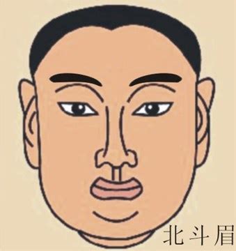 龍眉男|北斗眉桃花旺、獅子眉晚年超好命！男人「4眉型」財運噴發…數。